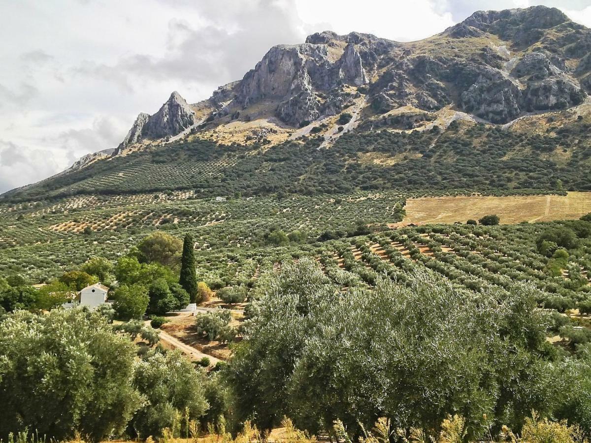 Cortijo Abril Villa Priego de Córdoba Eksteriør billede
