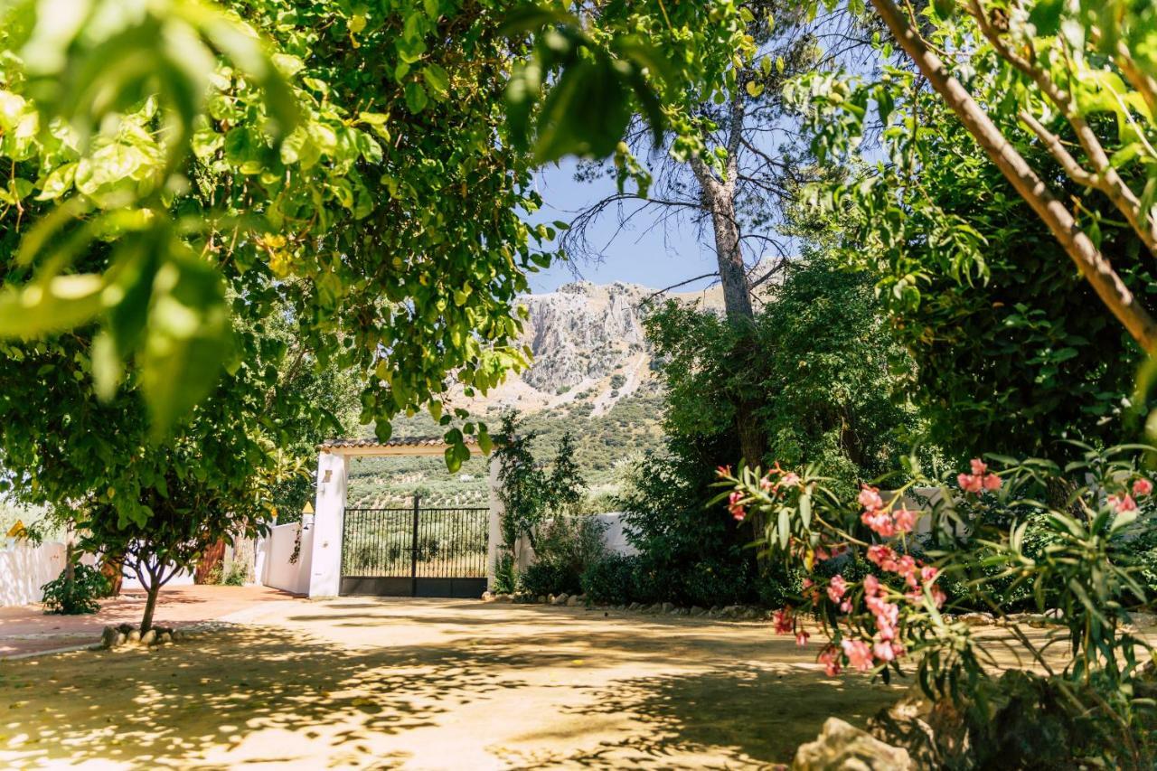 Cortijo Abril Villa Priego de Córdoba Eksteriør billede